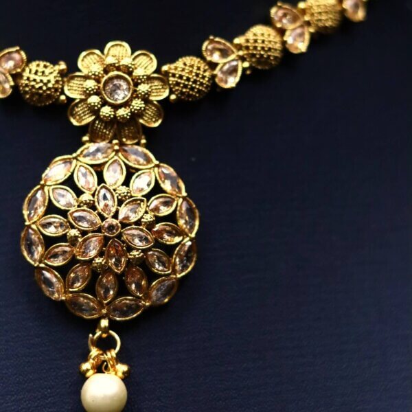 Amara Phool Necklace Set